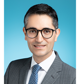 David Navarro-Alarcon